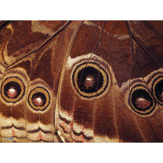 Панно из фотомозаики Узоры