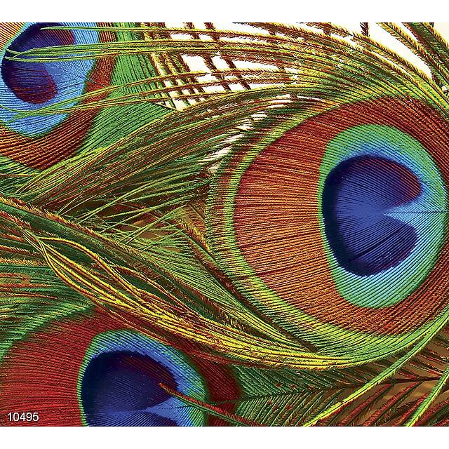 Панно из фотомозаики Хвост павлина