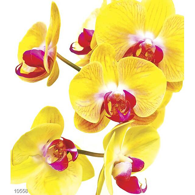 Панно из фотомозаики Орхидеи