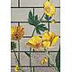 Художественное мозаичное панно (Ranunculus D), серия Decorations