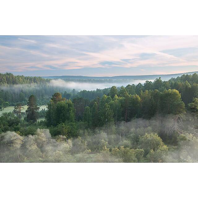 Панно из фотомозаики Туман над лесом