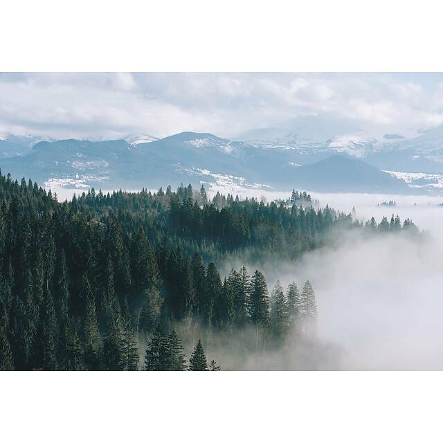 Панно из фотомозаики Туман в горах