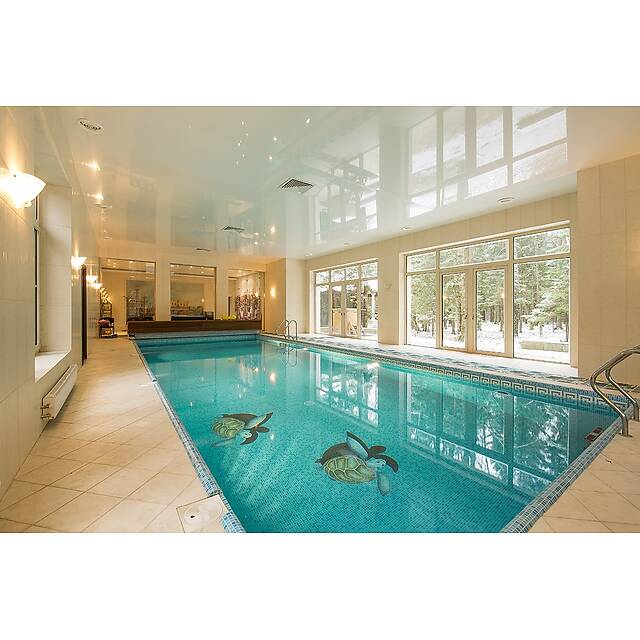 Бассейн панно с черепашками