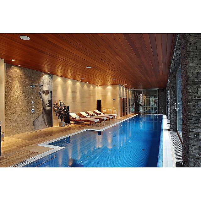 Бассейн мозаичное панно (Bonaparte Wall)