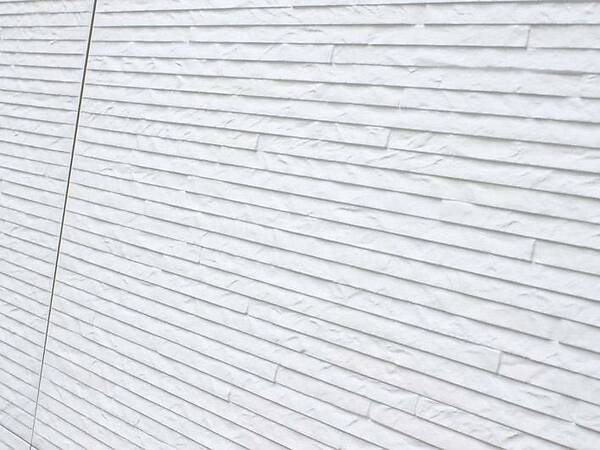 Фото шоурума в г. Санкт-Петербург