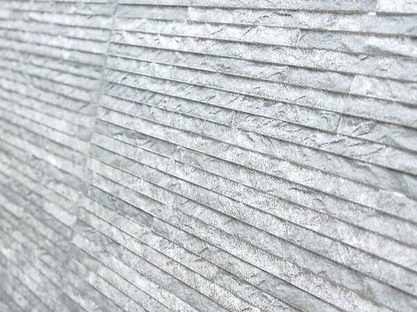 Фото шоурума в г. Санкт-Петербург